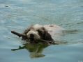 chispi a 11 ans.JPG